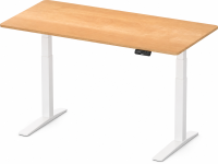 Bester 500 Euro Schreibtisch: FlexiSpot E7